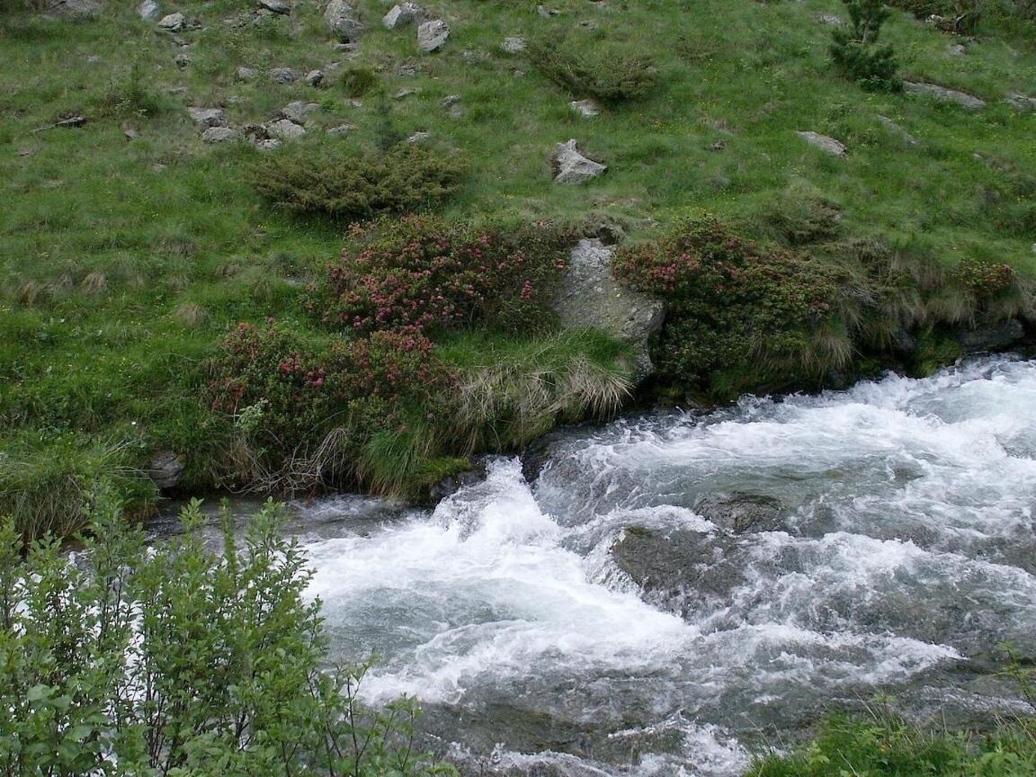 Hotel Tubris Campo Tures Dış mekan fotoğraf